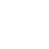 绒毛墙