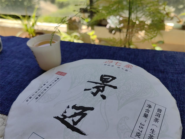 景邁大坪掌古樹茶？