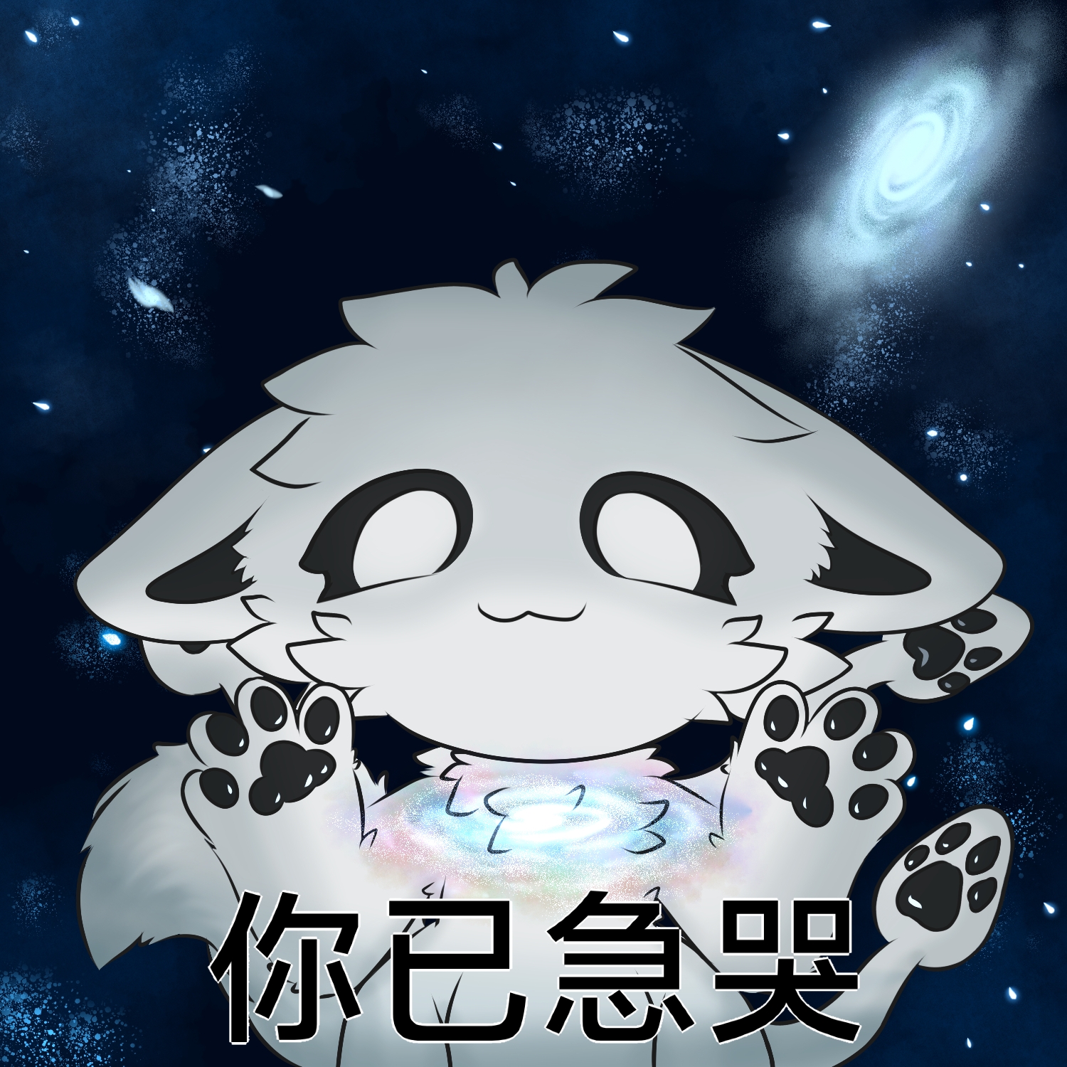 动态图片