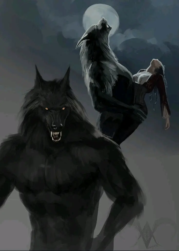 满月狼嚎——狼人图集