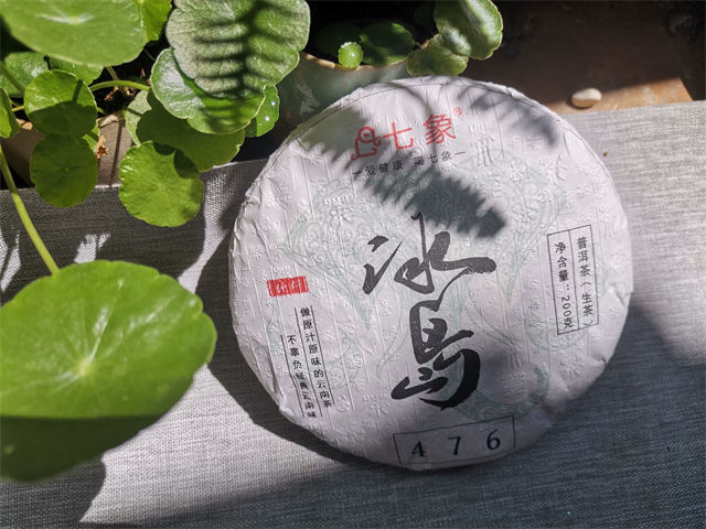 冰島普洱茶300年樹齡2015