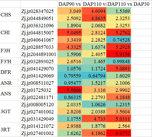 Ppt Excel Kegg