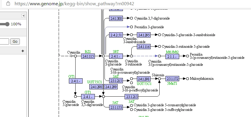 Ppt Excel Kegg