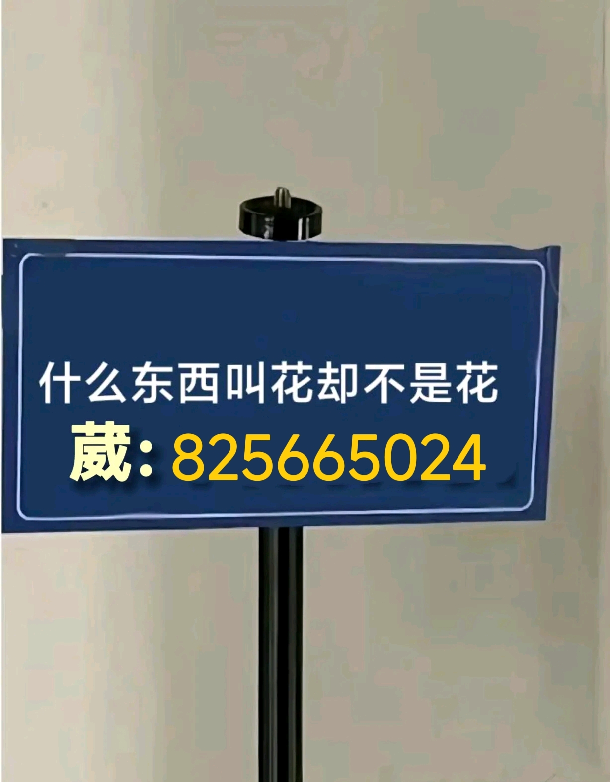d12f86f1f803551adf41d23e3335d8533546760637057243.jpg