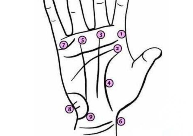 偏财运指的是 e388bc22f38a559a197bcd8f53d07fee1930663386.jpg