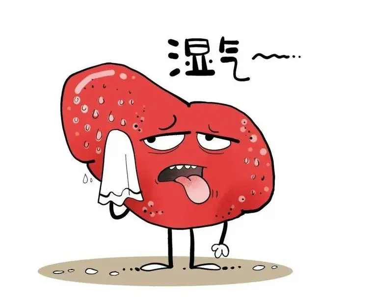 焦相对虚寒的情况，再加上脾胃这个“气血生化之源”，本身就喜燥恶湿。