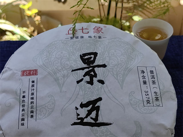 景邁大坪掌古樹茶？