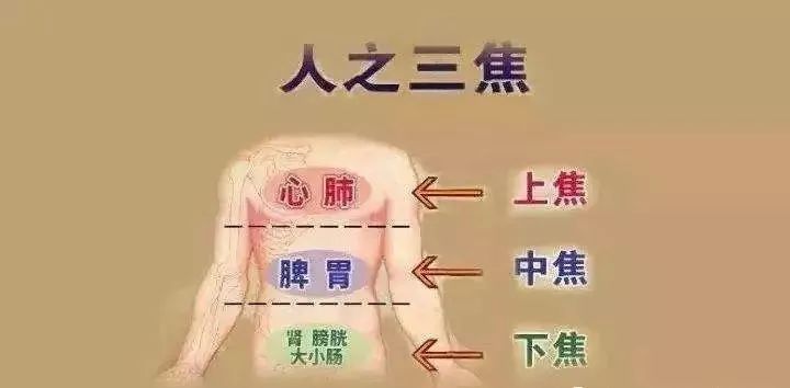 f6e66c1562c47e7909bc8e61d79afa051461546151.jpg