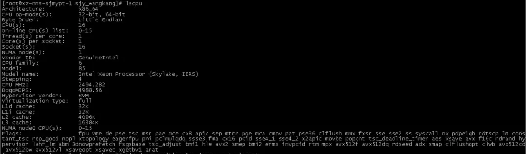 如何掌握Linux操作符以提升命令行效率？