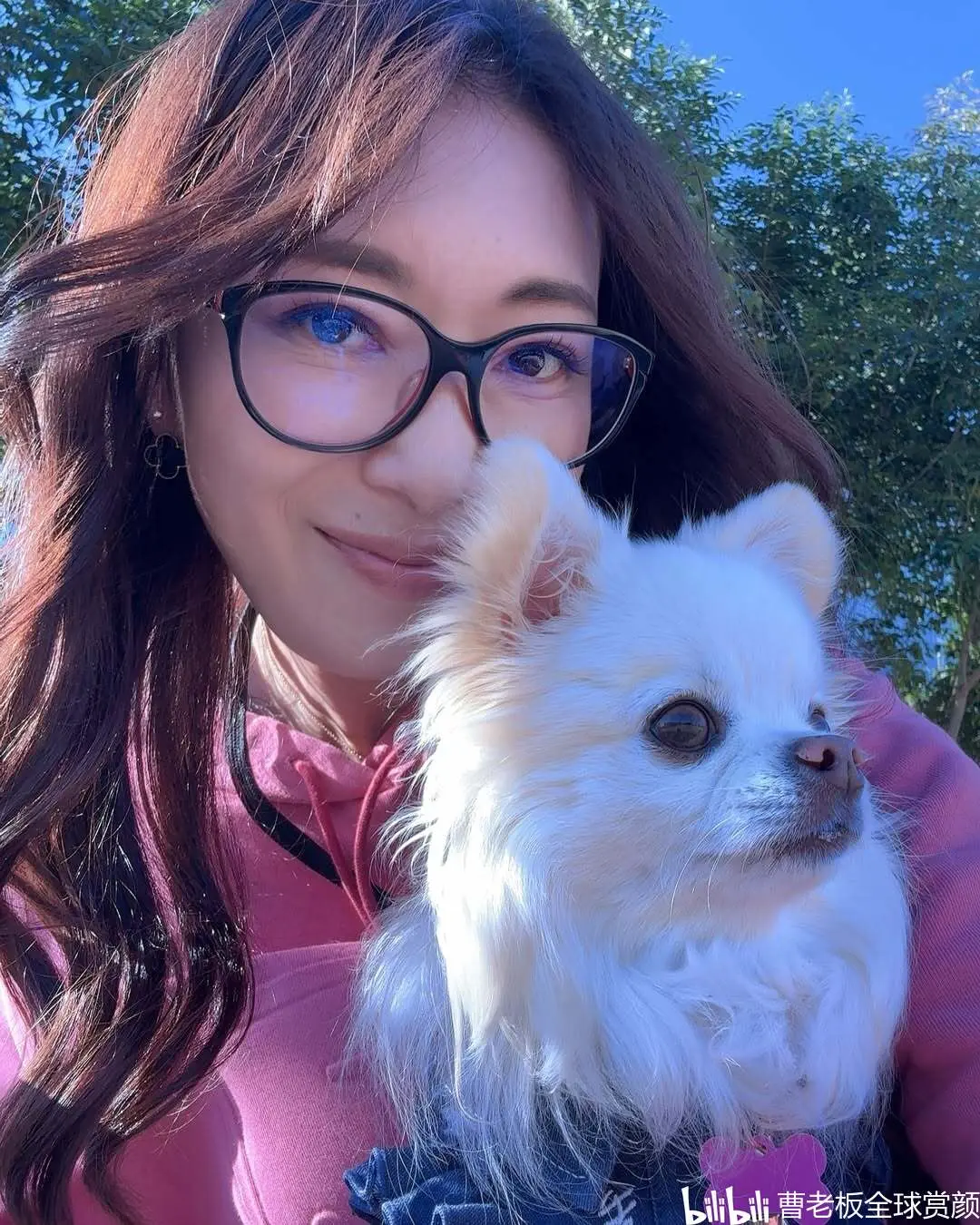 小早川怜子 小早川玲子 作品写真、介绍资料