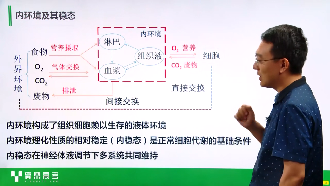 物质交换:血浆65组织液→淋巴→血浆(ps:细胞内液 占水约2/3)内