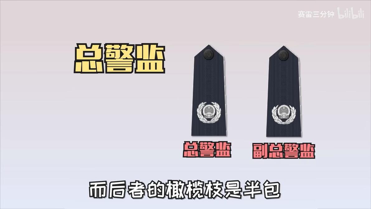 警监警督警司警衔级别到底是怎么划分的 哔哩哔哩