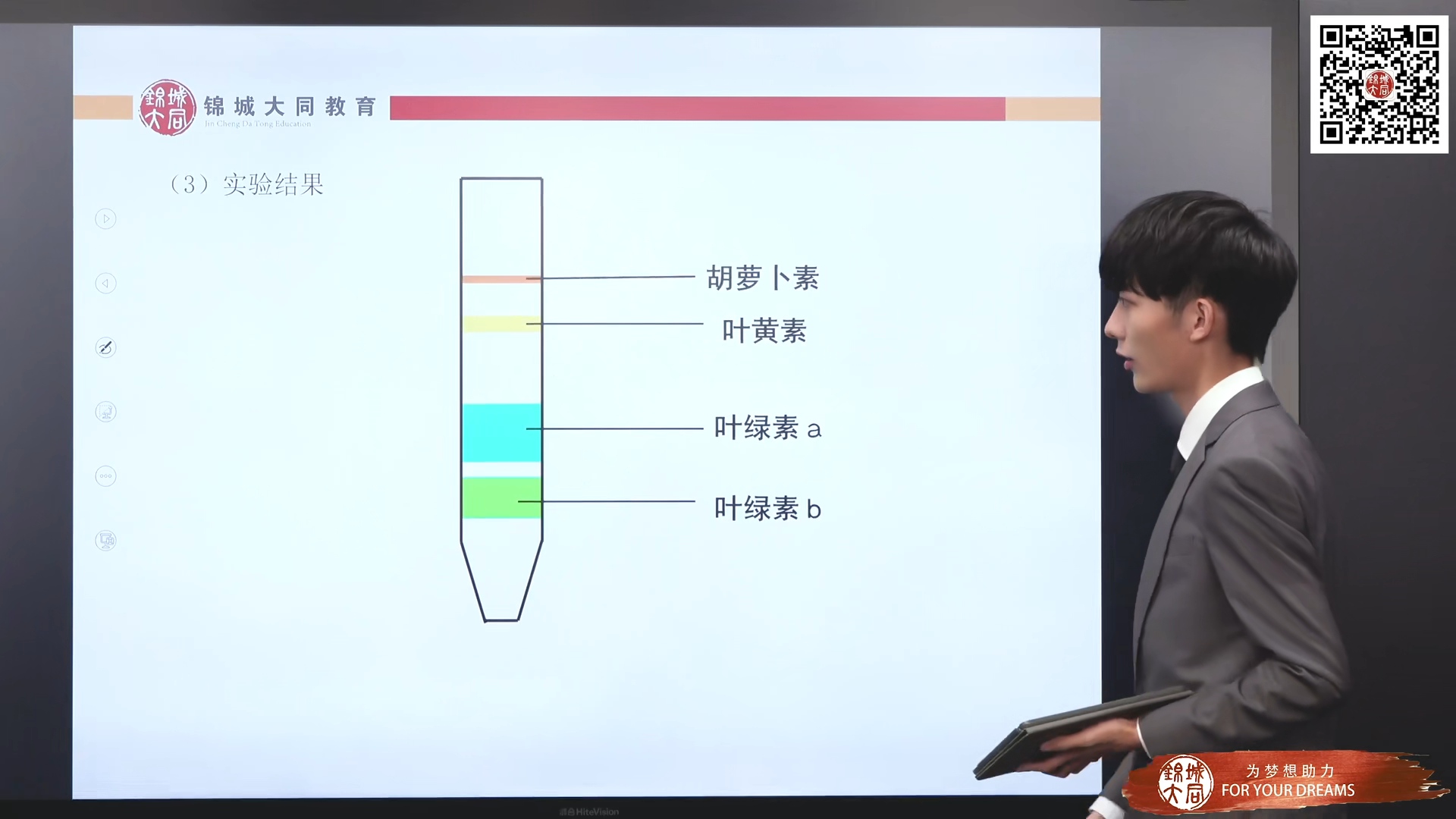 吸收光能→传递光能→转化光能类胡萝卜素较稳定,叶绿素低温易分解