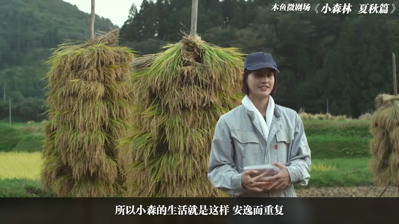 【木鱼微剧场《小森林夏秋篇》