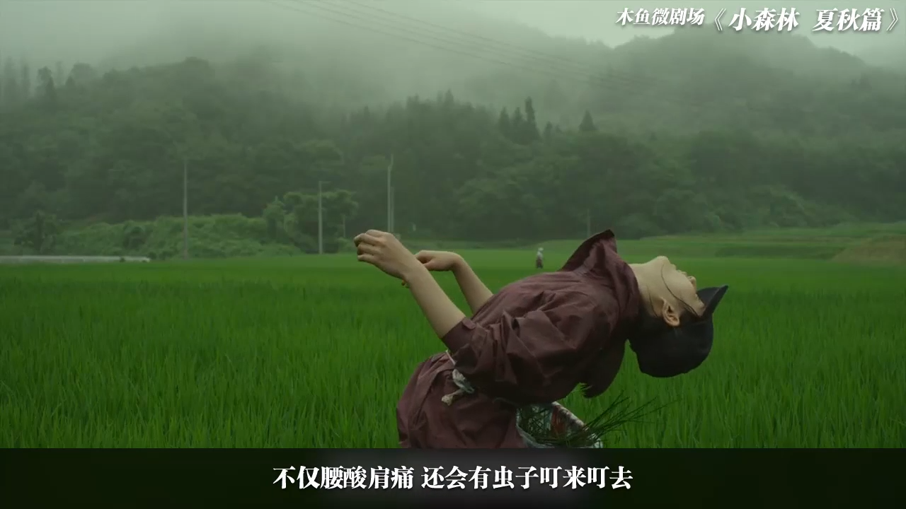 【木鱼微剧场《小森林夏秋篇》