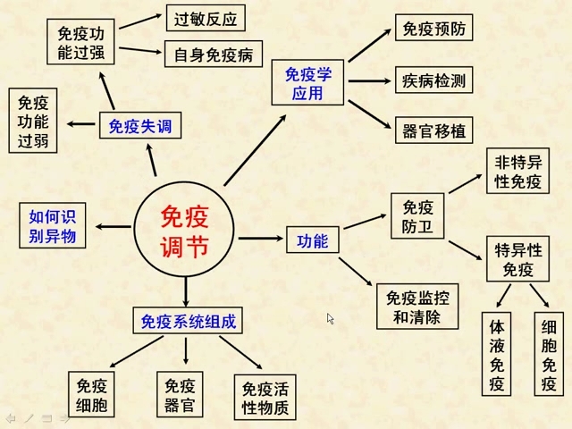 1311免疫调节习题讲解 p11 02:3113注:c不属于免疫反应应设置一