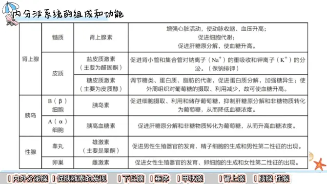 【高中生物选必1】激素与内分泌系统（知识）
