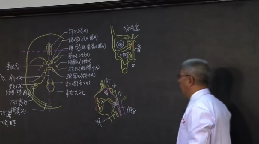 霍琨老师人体解剖学系统解剖学全集59级全集更新完结