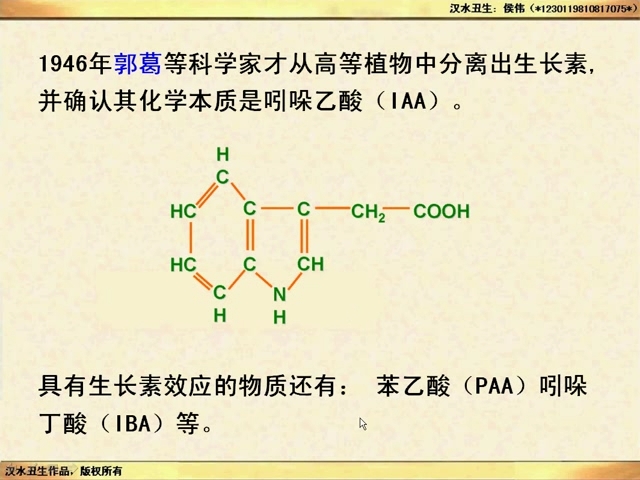 吲哚乙酸主要由色氨酸经一系列酶催化生成,既不是蛋白质,也不是氨基酸