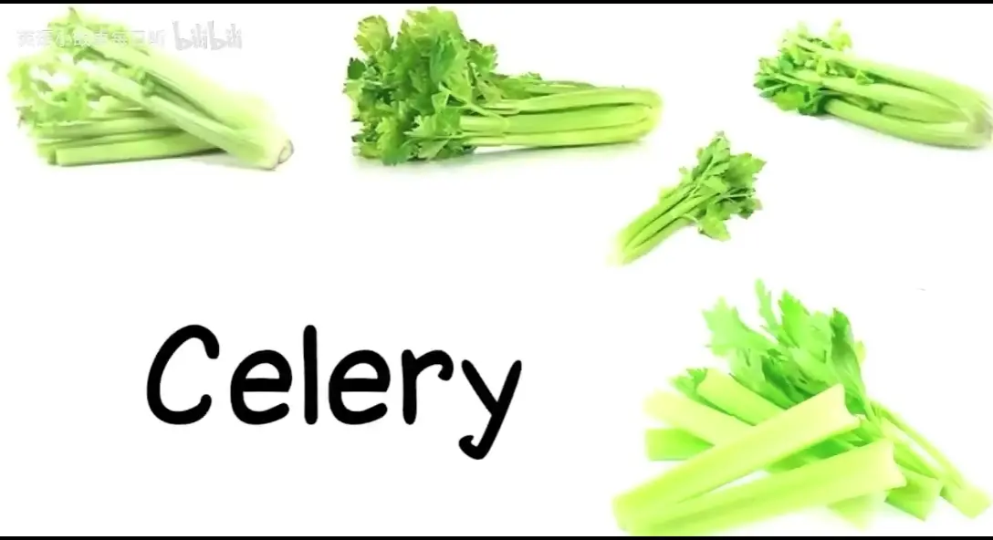 蔬菜的英文单词