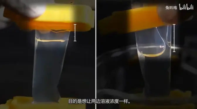边进入溶液→因渗透压把低浓度溶液往高浓度初推，使两边溶液高度一样。