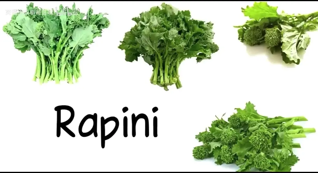 蔬菜的英文单词