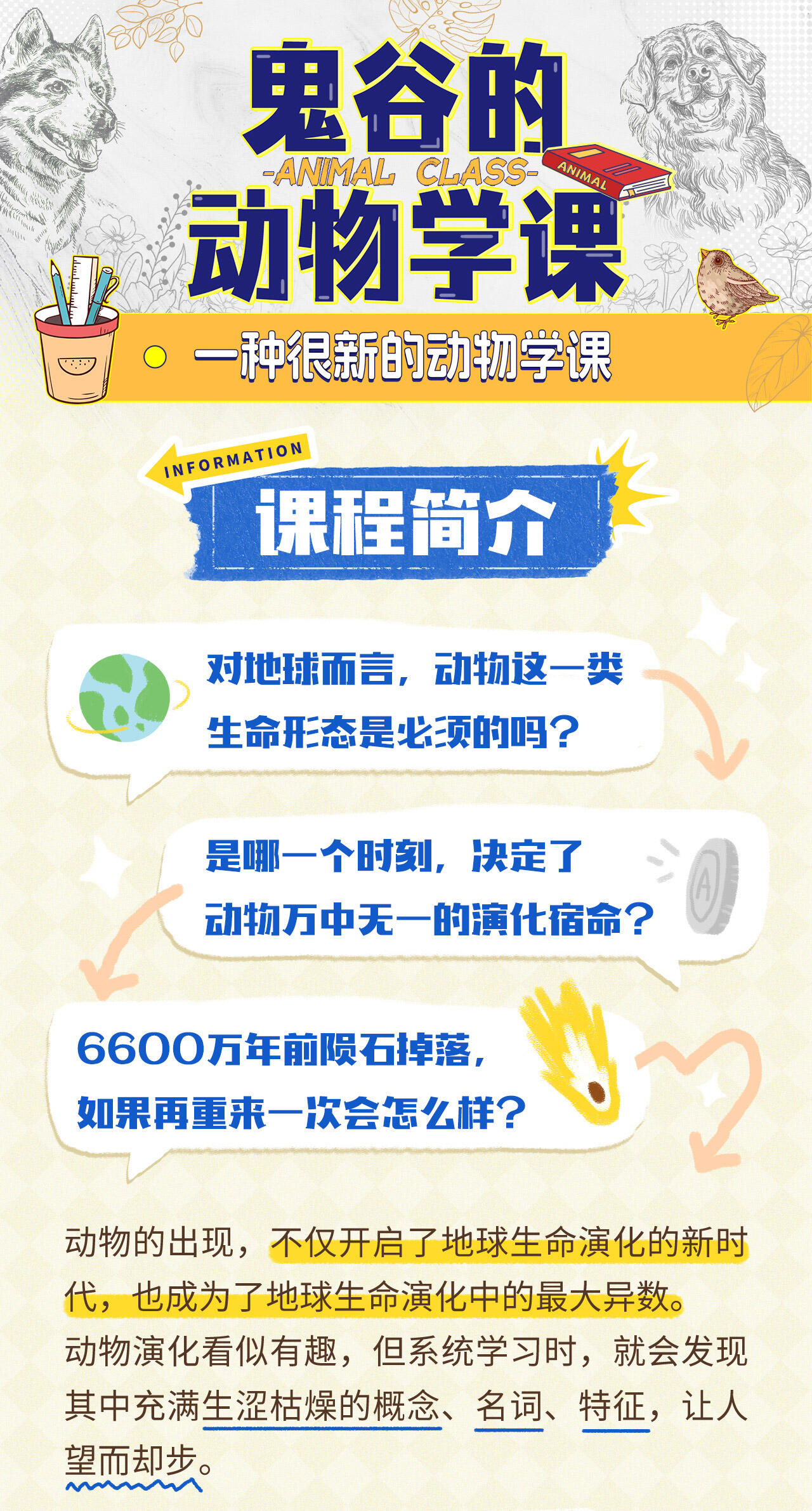 课程介绍