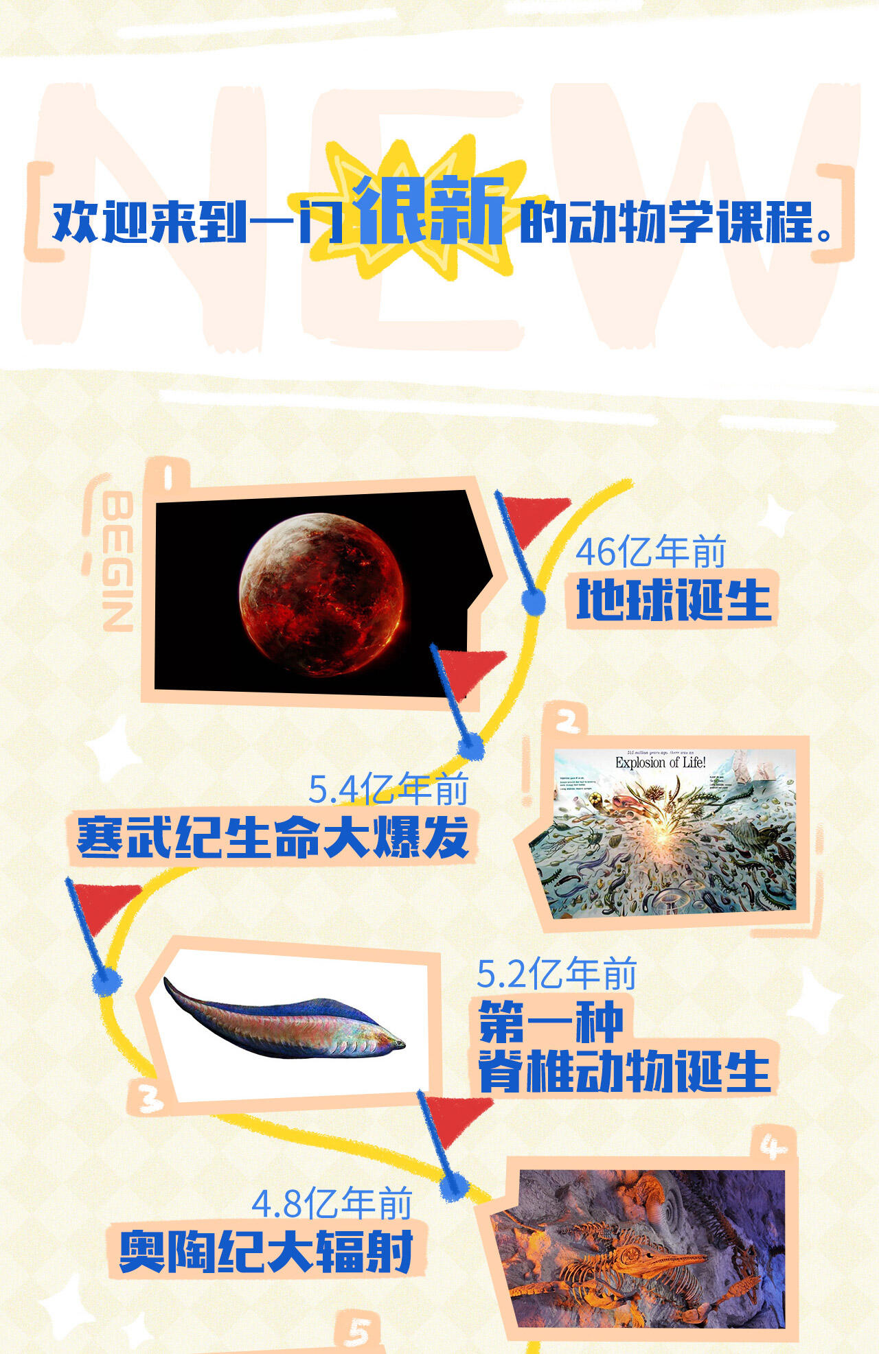 课程介绍