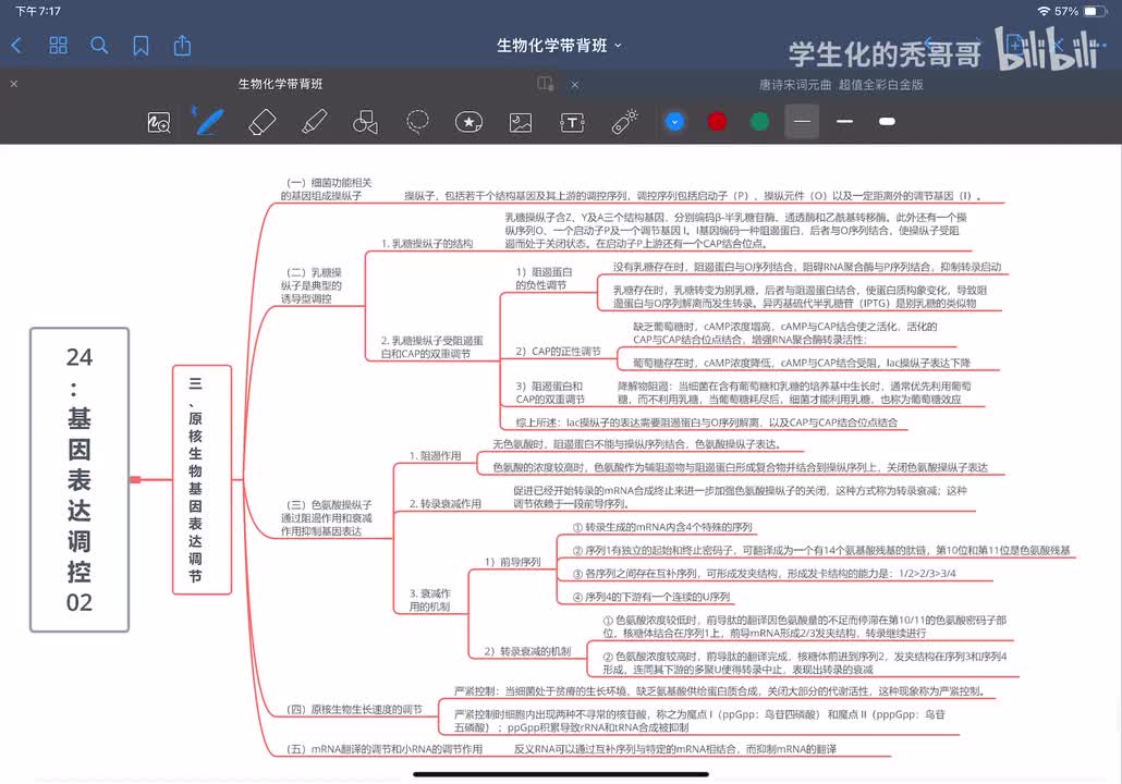 24：基因表达调控02