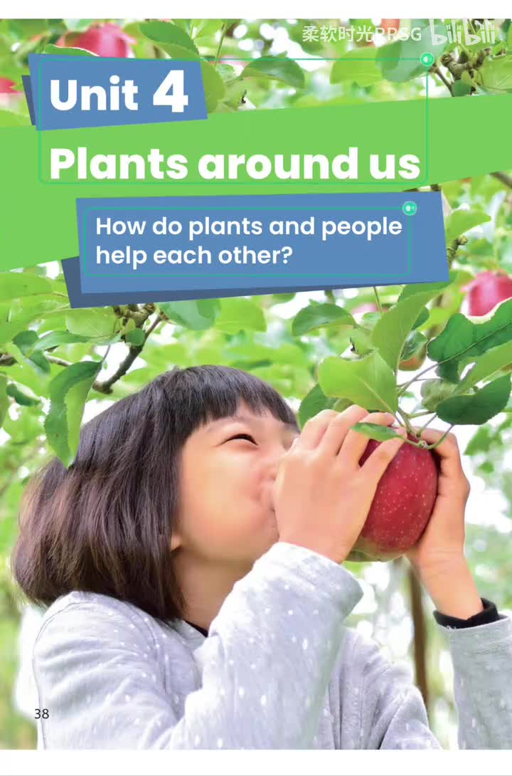 Unit 4 我们周围的植物 (p.38-49)