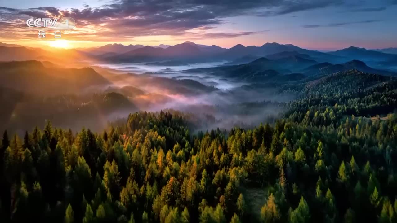 《自然中国之山水工程》01 大河安澜：九曲黄河谱写华夏壮丽山河新篇章 “山水工程”筑起了一道绿意盎然的北方生态屏障【CCTV纪录】_1080p