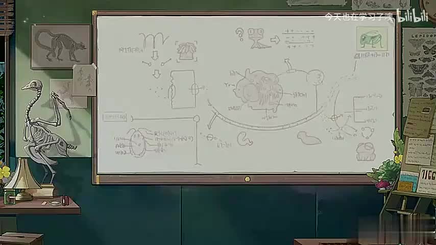 37-22-22 ATP是直接能源物质（一）