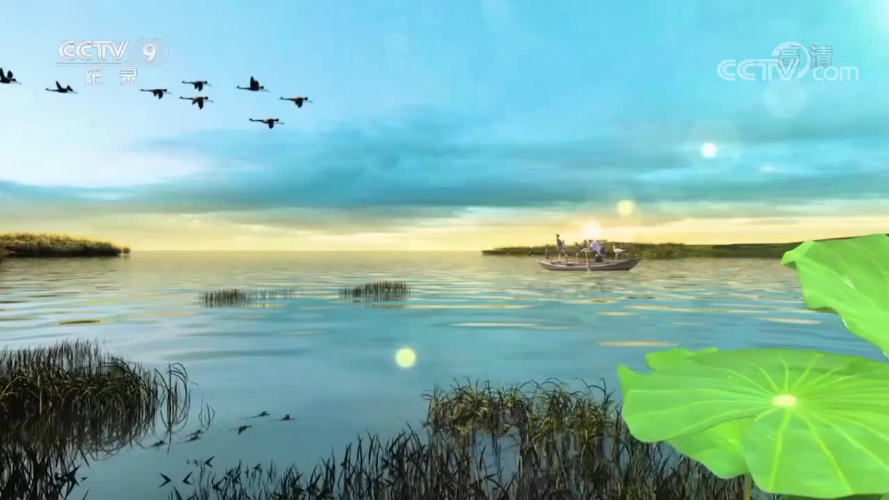 【第二集】硬骨头