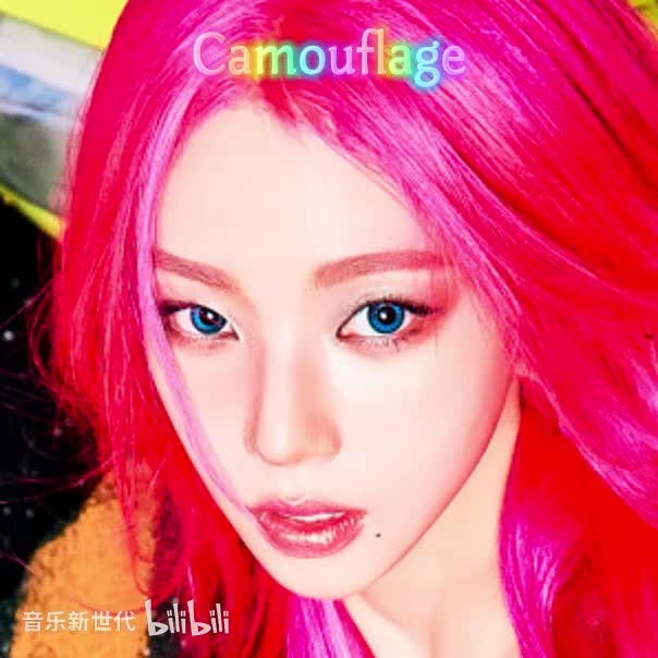 05. Camouflage