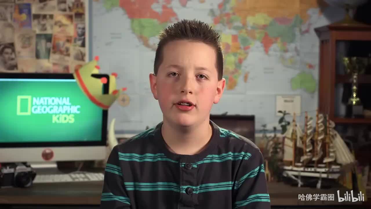 Nat Geo Kids Penguins Playlist-06-Why Penguins Waddle 中英字幕