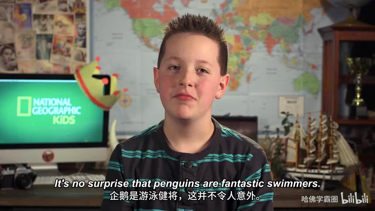 Nat Geo Kids Penguins Playlist-03-How Penguins Take Flight in the Water 中英字幕