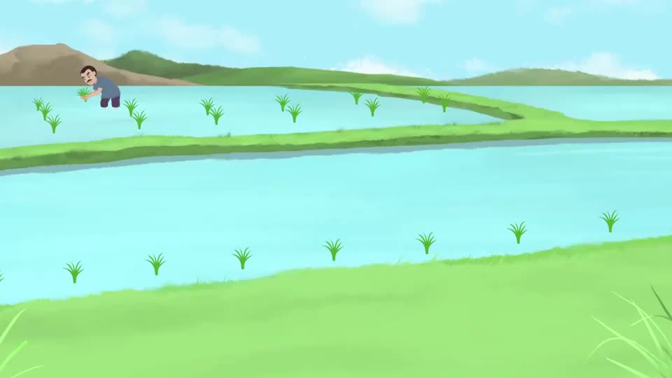 08.插秧苗竟是优生优育？