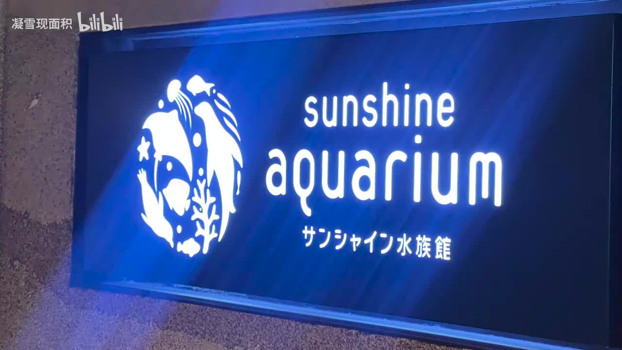 小灯爱去的水族馆（动物表演+内场）