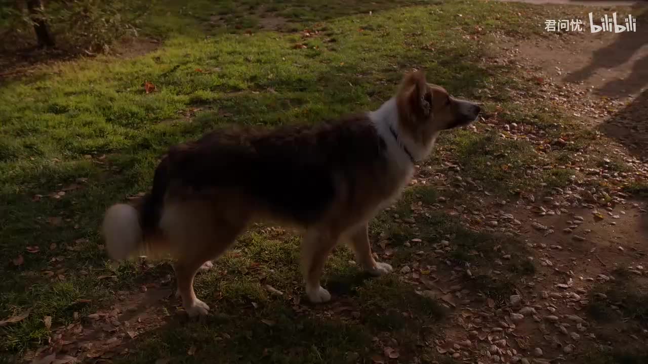 第8季「第19集」C 字