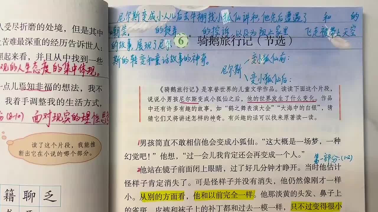 16_6 骑鹅旅行记