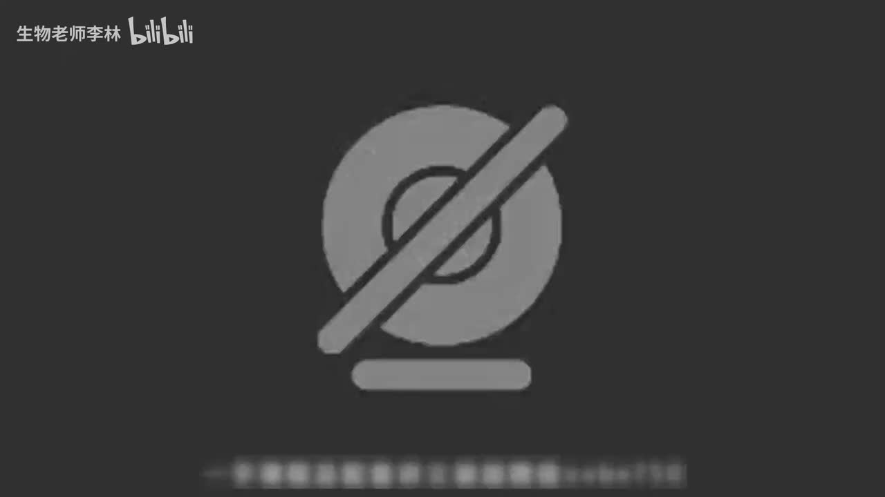 09.光合呼吸信息分析