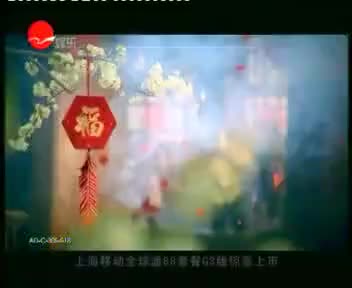 tvcimage.meihua.infompeg20100225112831_4BD5.mp4