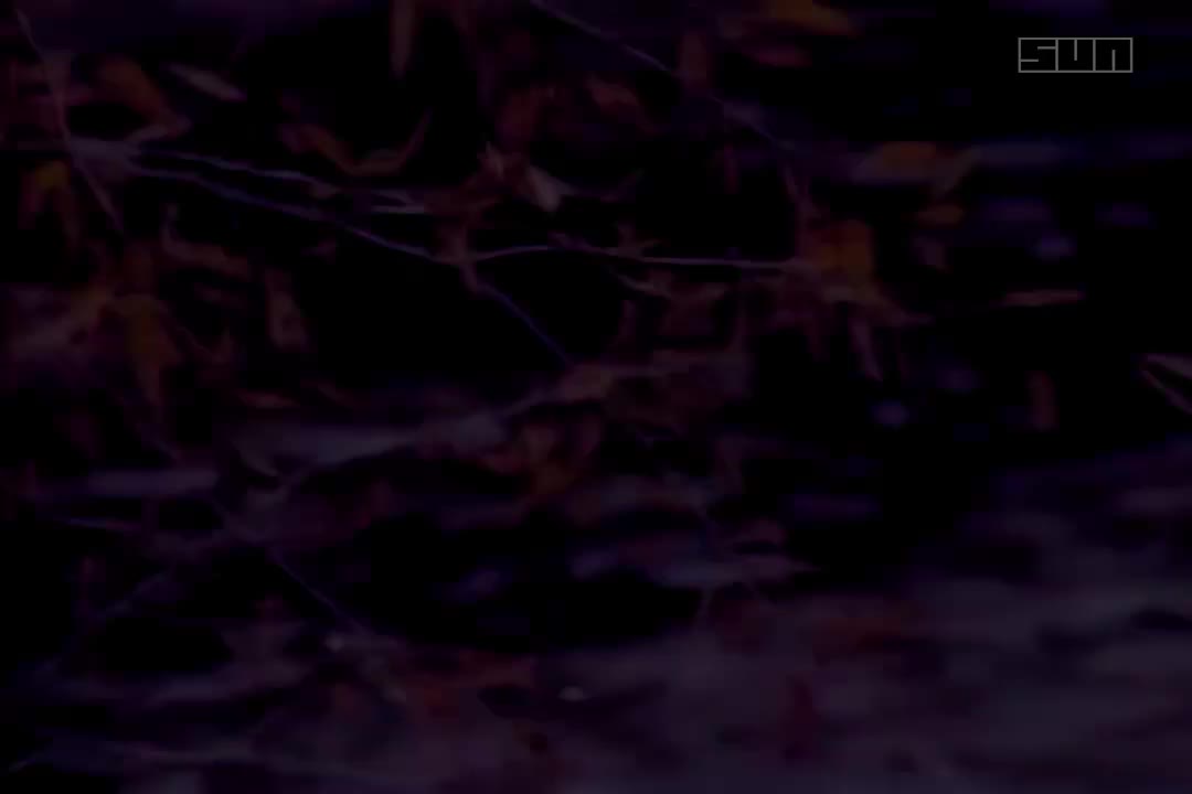 潘美辰 - 地球最冷的一天 720P
