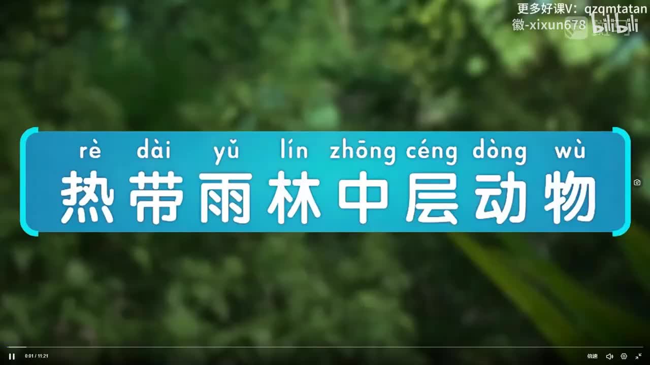 5.热带雨林中层动物