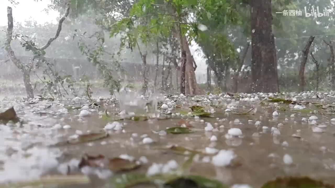 雨中氛围感 (33)