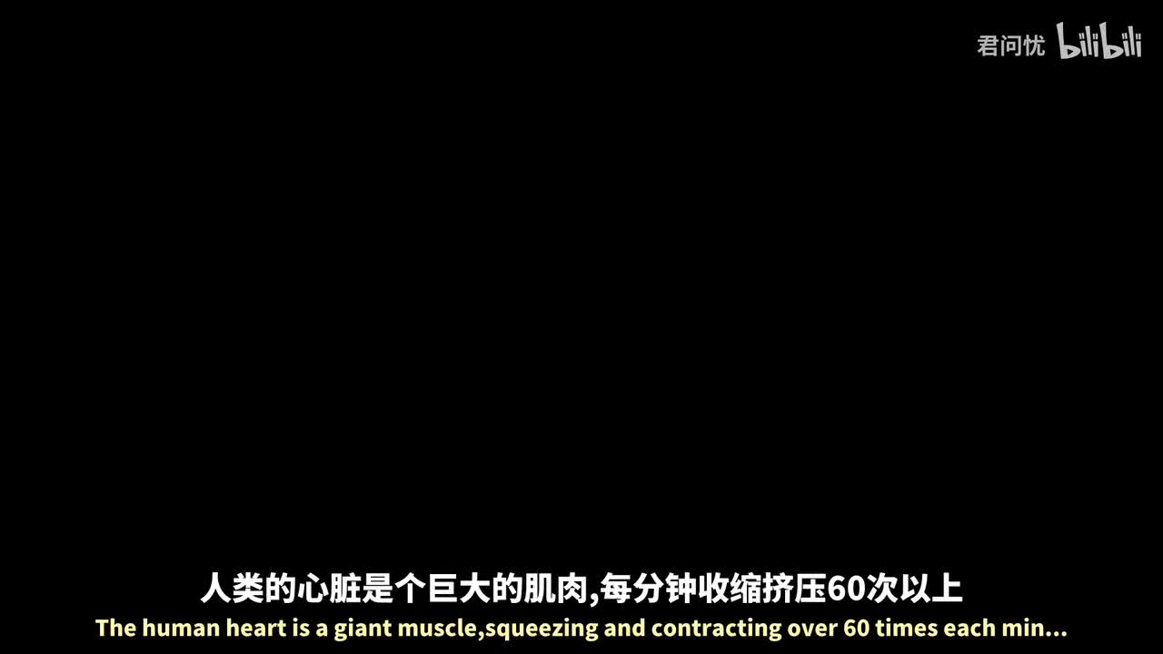 第2季「第17集」全押