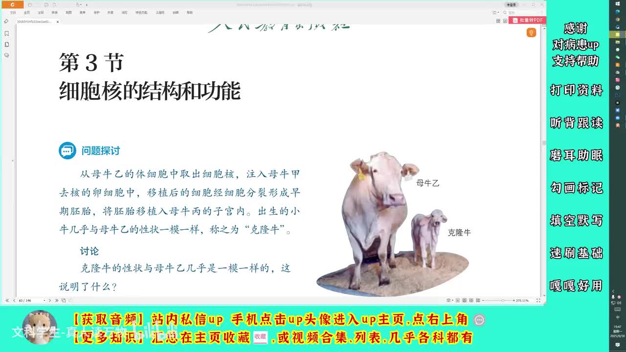3.3细胞核的结构和功能