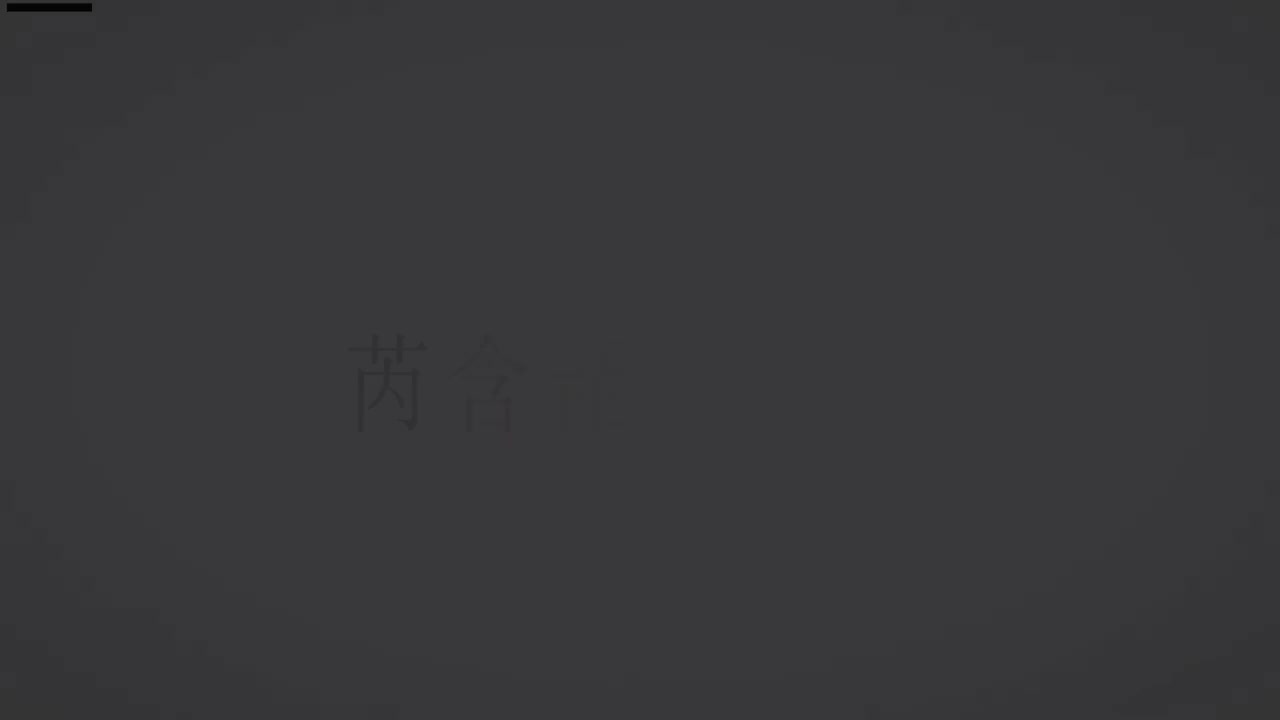 刘芮含琵琶(1-10级）全级系统课程071.天山之春（上）