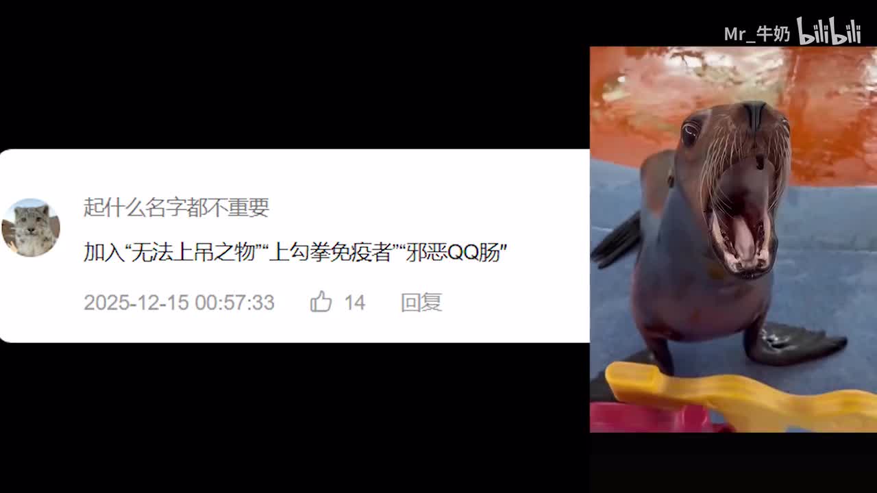 当MC服里加入QQ肠海狮(玩家：依旧冲不走的答辩😡