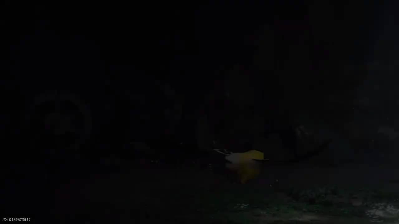 【不见山】打更人